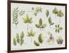 New Leaves II-Sandra Jacobs-Framed Giclee Print