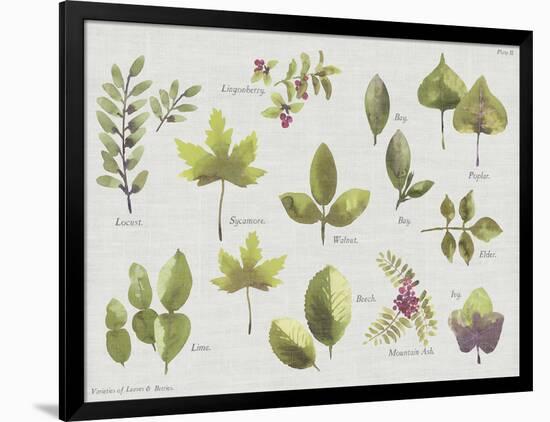 New Leaves II-Sandra Jacobs-Framed Giclee Print