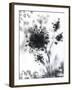 New Life-null-Framed Giclee Print