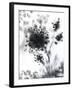 New Life-null-Framed Giclee Print