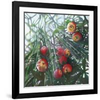 New Light on Eden, 2016,-Helen White-Framed Giclee Print