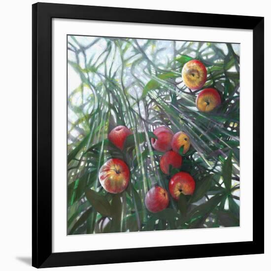 New Light on Eden, 2016,-Helen White-Framed Giclee Print