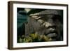 New Light on the Olmec, 9 Foot High, Basalt Head, Portraysolmec Ruler, Created Mesoam…, 1993 (Photo-Kenneth Garrett-Framed Giclee Print