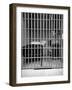 New Los Angeles Federal Jail, Located on Terminal Island-Rex Hardy Jr.-Framed Photographic Print