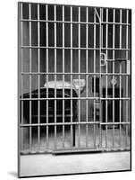 New Los Angeles Federal Jail, Located on Terminal Island-Rex Hardy Jr.-Mounted Photographic Print