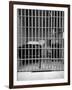 New Los Angeles Federal Jail, Located on Terminal Island-Rex Hardy Jr.-Framed Photographic Print