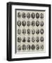 New Members of the House of Commons, Heroes of the Conflict-null-Framed Giclee Print