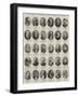 New Members of the House of Commons, Heroes of the Conflict-null-Framed Giclee Print