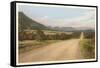 New Mexican Road-null-Framed Stretched Canvas