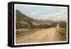 New Mexican Road-null-Framed Stretched Canvas