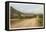 New Mexican Road-null-Framed Stretched Canvas