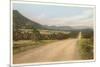 New Mexican Road-null-Mounted Art Print