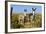 New Mexico, Bisti De-Na-Zin Wilderness, Two Donkeys-Bernard Friel-Framed Photographic Print