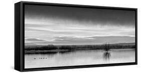 New Mexico, Bosque Del Apache National Wildlife Refuge-Ann Collins-Framed Stretched Canvas