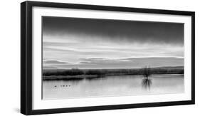 New Mexico, Bosque Del Apache National Wildlife Refuge-Ann Collins-Framed Premium Photographic Print