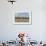 New Mexico, Bosque del Apache NWR. Canada and Snow Geese in Water-Don Paulson-Framed Photographic Print displayed on a wall