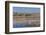 New Mexico, Bosque del Apache NWR. Fall Colors in Grasses-Don Paulson-Framed Photographic Print