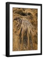 New Mexico, Carlsbad Caverns National Park. Calcite Flowstone in the Big Room-Kevin Oke-Framed Photographic Print