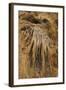 New Mexico, Carlsbad Caverns National Park. Calcite Flowstone in the Big Room-Kevin Oke-Framed Photographic Print