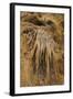 New Mexico, Carlsbad Caverns National Park. Calcite Flowstone in the Big Room-Kevin Oke-Framed Photographic Print