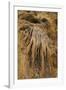 New Mexico, Carlsbad Caverns National Park. Calcite Flowstone in the Big Room-Kevin Oke-Framed Photographic Print