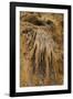 New Mexico, Carlsbad Caverns National Park. Calcite Flowstone in the Big Room-Kevin Oke-Framed Photographic Print