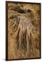 New Mexico, Carlsbad Caverns National Park. Calcite Flowstone in the Big Room-Kevin Oke-Framed Premium Photographic Print