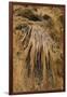 New Mexico, Carlsbad Caverns National Park. Calcite Flowstone in the Big Room-Kevin Oke-Framed Premium Photographic Print