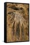 New Mexico, Carlsbad Caverns National Park. Calcite Flowstone in the Big Room-Kevin Oke-Framed Stretched Canvas
