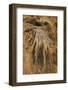 New Mexico, Carlsbad Caverns National Park. Calcite Flowstone in the Big Room-Kevin Oke-Framed Photographic Print