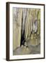 New Mexico, Carlsbad Caverns National Park. Curtain Formations in the Big Room-Kevin Oke-Framed Photographic Print