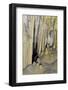 New Mexico, Carlsbad Caverns National Park. Curtain Formations in the Big Room-Kevin Oke-Framed Photographic Print