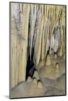 New Mexico, Carlsbad Caverns National Park. Curtain Formations in the Big Room-Kevin Oke-Mounted Photographic Print