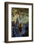 New Mexico, Carlsbad Caverns National Park. Stalagmite in the Fairyland Formation-Kevin Oke-Framed Photographic Print