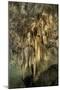 New Mexico, Carlsbad Caverns National Park. the Chandelier Stalactite Formation-Kevin Oke-Mounted Photographic Print