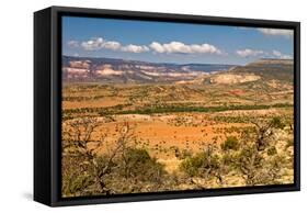 New Mexico Desert Landscape-Carbonbrain-Framed Stretched Canvas