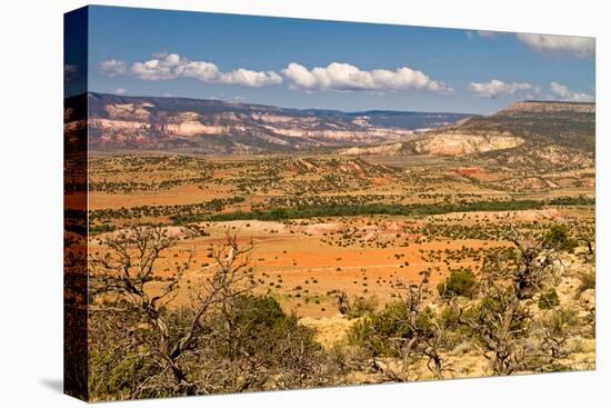 New Mexico Desert Landscape-Carbonbrain-Stretched Canvas