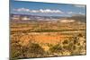 New Mexico Desert Landscape-Carbonbrain-Mounted Photographic Print