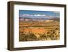 New Mexico Desert Landscape-Carbonbrain-Framed Photographic Print
