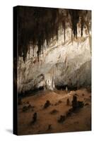 New Mexico, Eddy County, Carlsbad Caverns National Park. Cave Formations-Kevin Oke-Stretched Canvas