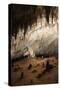 New Mexico, Eddy County, Carlsbad Caverns National Park. Cave Formations-Kevin Oke-Stretched Canvas