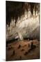 New Mexico, Eddy County, Carlsbad Caverns National Park. Cave Formations-Kevin Oke-Mounted Photographic Print