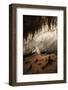 New Mexico, Eddy County, Carlsbad Caverns National Park. Cave Formations-Kevin Oke-Framed Photographic Print