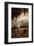 New Mexico, Eddy County, Carlsbad Caverns National Park. Cave Formations-Kevin Oke-Framed Photographic Print