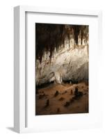 New Mexico, Eddy County, Carlsbad Caverns National Park. Cave Formations-Kevin Oke-Framed Photographic Print