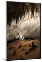 New Mexico, Eddy County, Carlsbad Caverns National Park. Cave Formations-Kevin Oke-Mounted Photographic Print