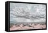 New Mexico Rain-Nathan Larson-Framed Stretched Canvas