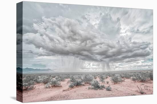 New Mexico Rain-Nathan Larson-Stretched Canvas