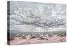 New Mexico Rain-Nathan Larson-Stretched Canvas