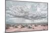 New Mexico Rain-Nathan Larson-Mounted Photographic Print